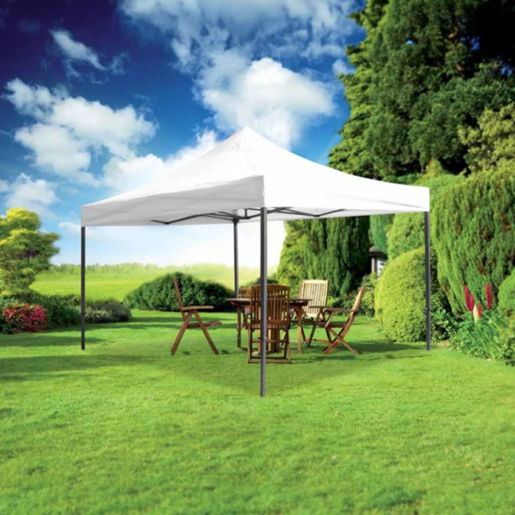 Barnum chez Tente & Événement